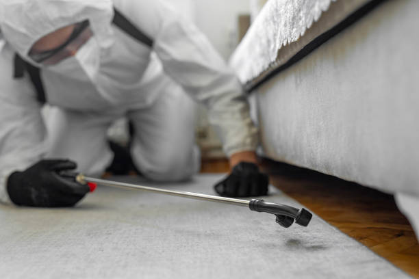 Professional Termite Control technician working in Avila Beach, CA
