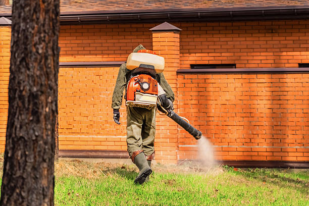 Trusted Mosquito Control service in Avila Beach, CA - Nex Pest Control